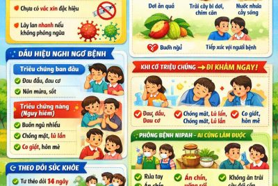 PHÒNG, CHỐNG DỊCH BỆNH DO VIRUS NIPAH DÀNH CHO CÁC BẬC PHỤ HUYNH, CHA MẸ TRẺ