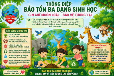 BẢO TỒN ĐA DẠNG SINH HỌC – GÌN GIỮ SỰ SỐNG CHO HÀNH TINH XANH
